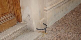 Fotos con historia: los limpiabotas