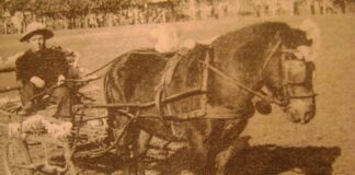 ¿Te acordás de “Juancito de la Trocha”?